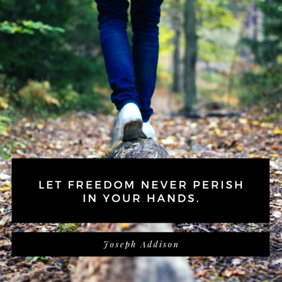 CLEARANCE SALE $15 minimum - Picture 1 of 16